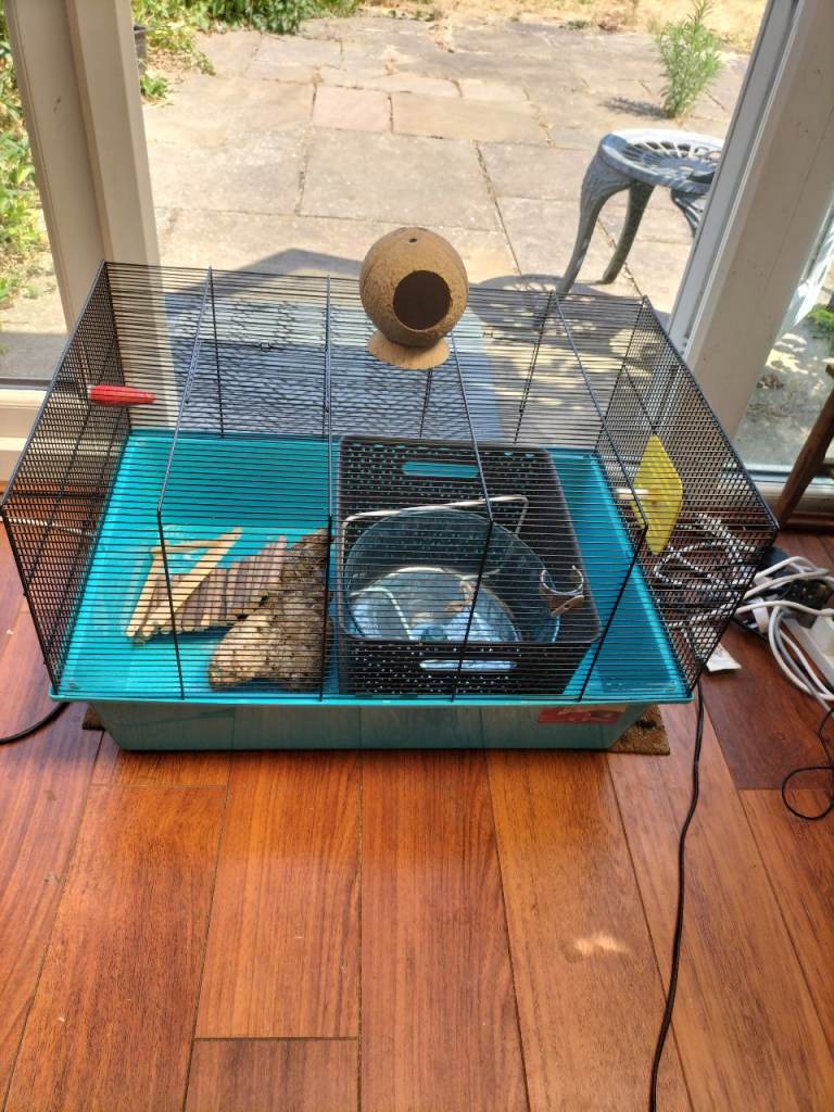 Hamster cage 