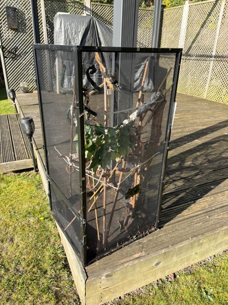 Large mesh cage for small animal/reptile