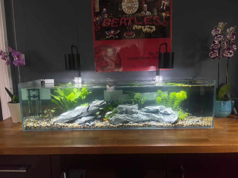 Large Clear Glass Aquarium with Rocks and lights 