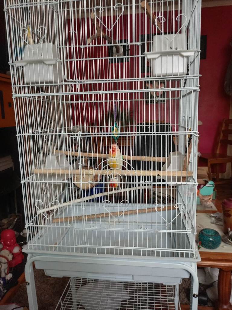 White Bird Cage with Stand and Accessories – Good Condition