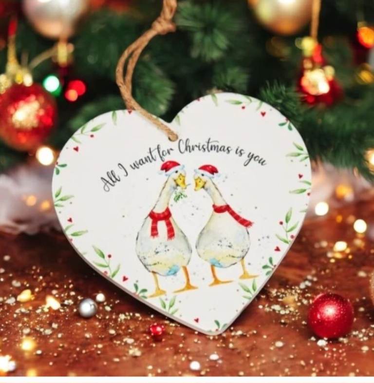 Christmas duck decoration Size: H15xW15cm (additional 10cm for jute hanger)