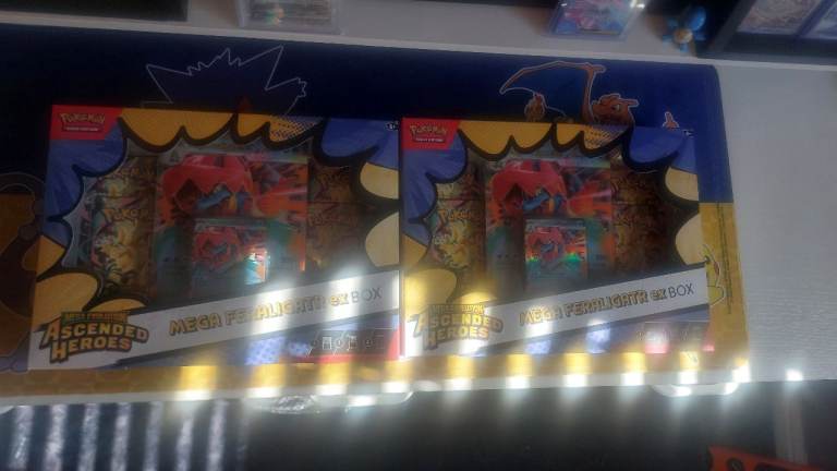 Seales Ascended Heroes Mega Feraligatr Ex Box X2 