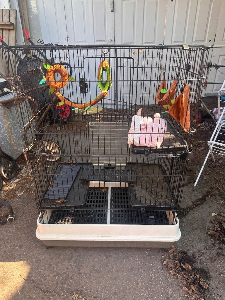 Cage Available