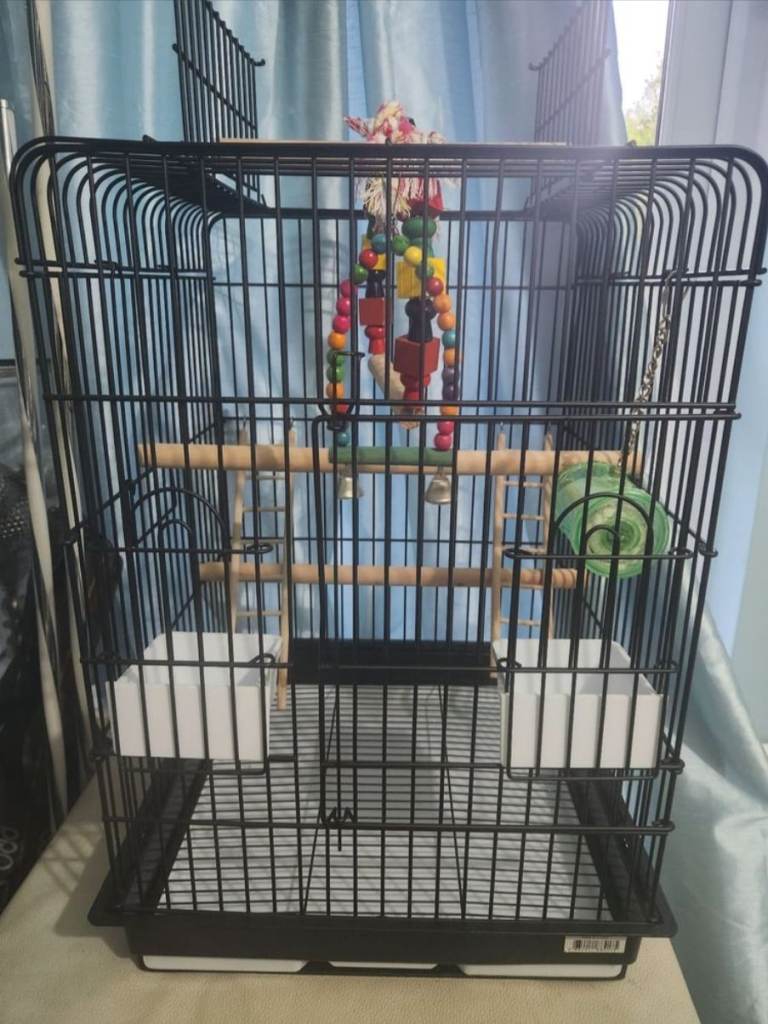 Bird cage