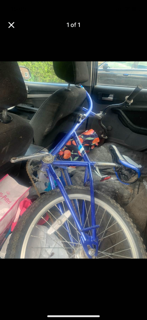 Tag along bike 