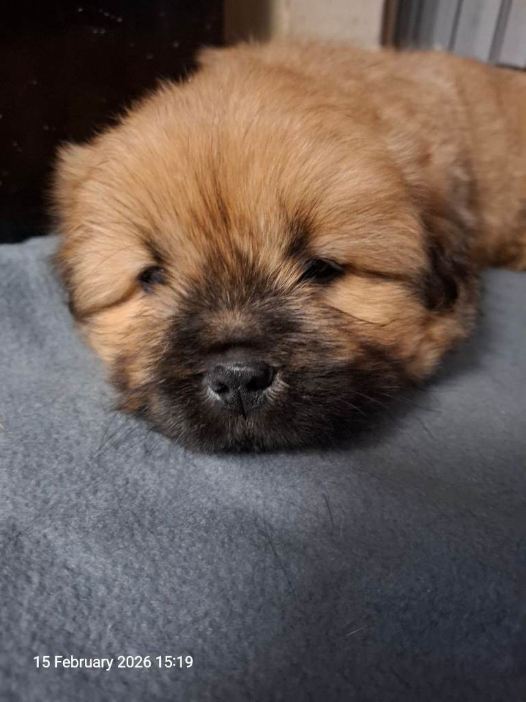  looking for a new home 