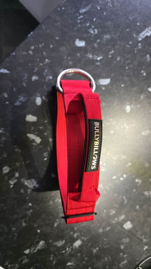 Brand new combat collar