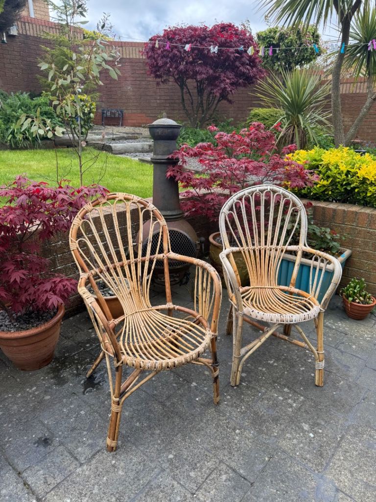 Vintage Cane chairs basket chairs (A pair of chairs)