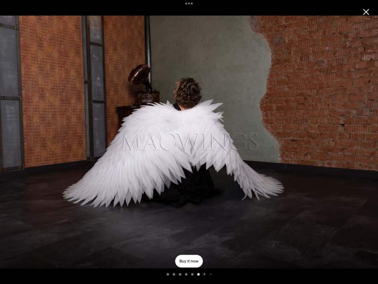 Giant Angel Wings 