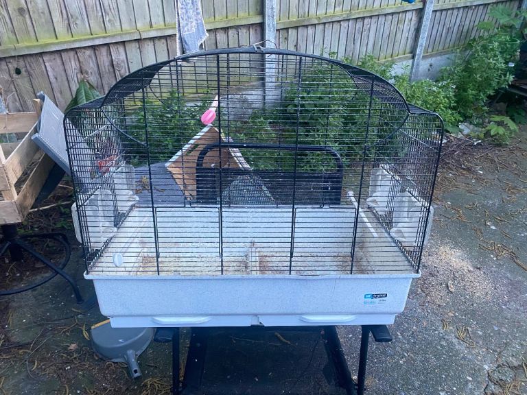 Bird Cage for £15