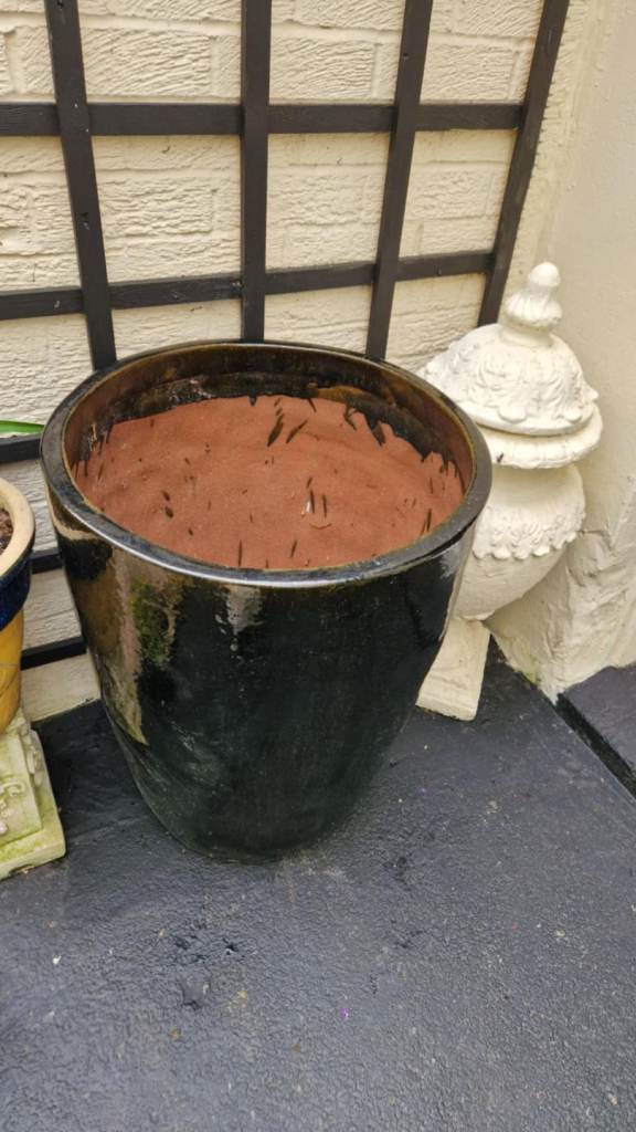 Huge Japanese salt glazed ceramic garden plant pot  