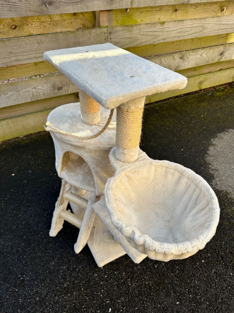 Furry Cat Climbing Tower