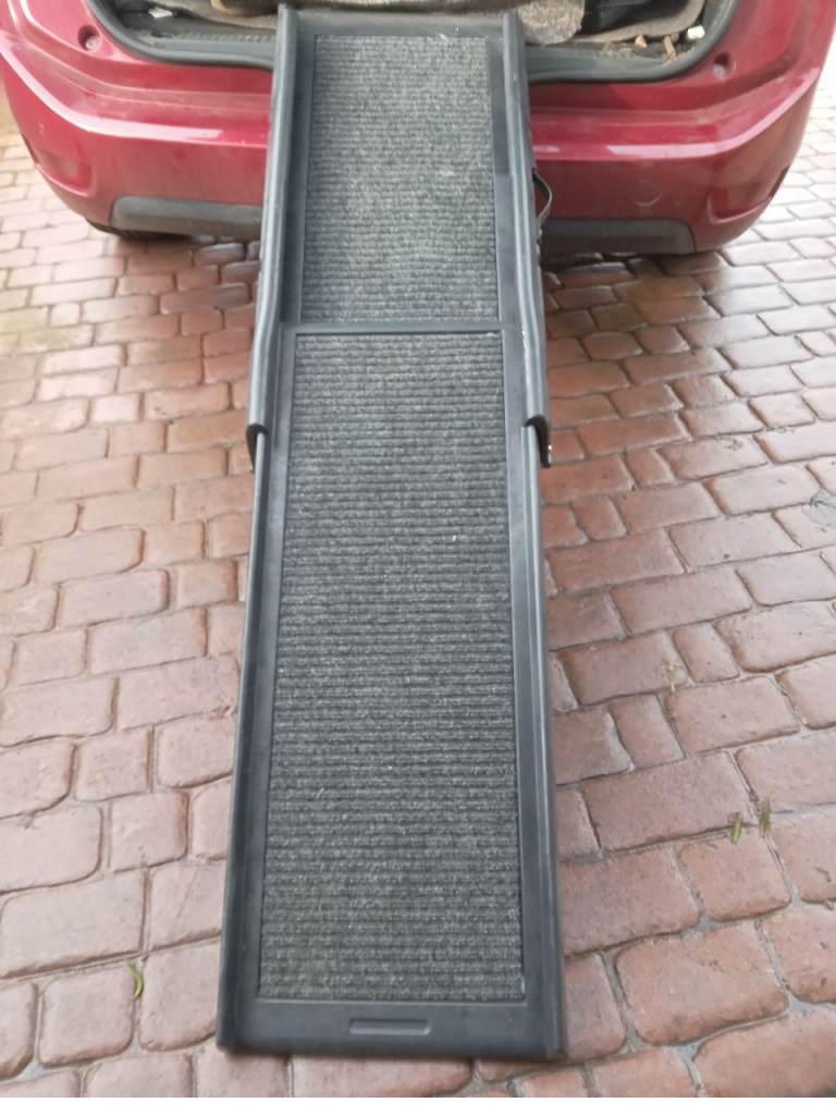 Car dog ramp