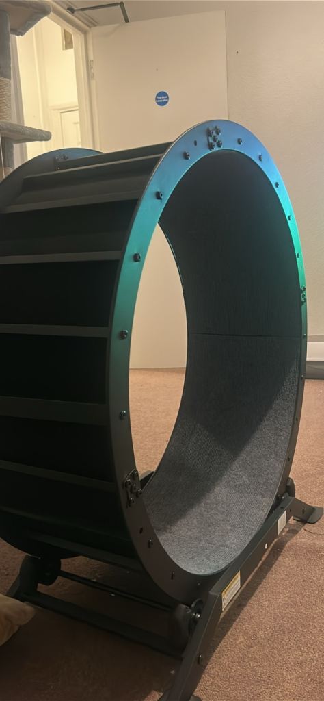 Cat Wheel