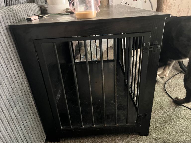 Already built dog crate 