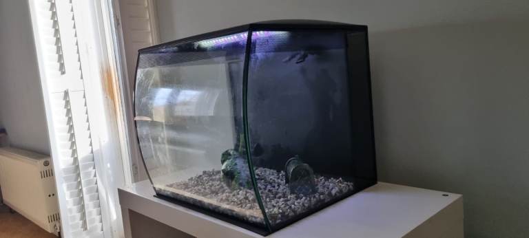 Fish Aquarium - Fluval Flex 57L