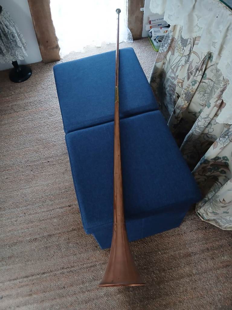 Alpine horn 
