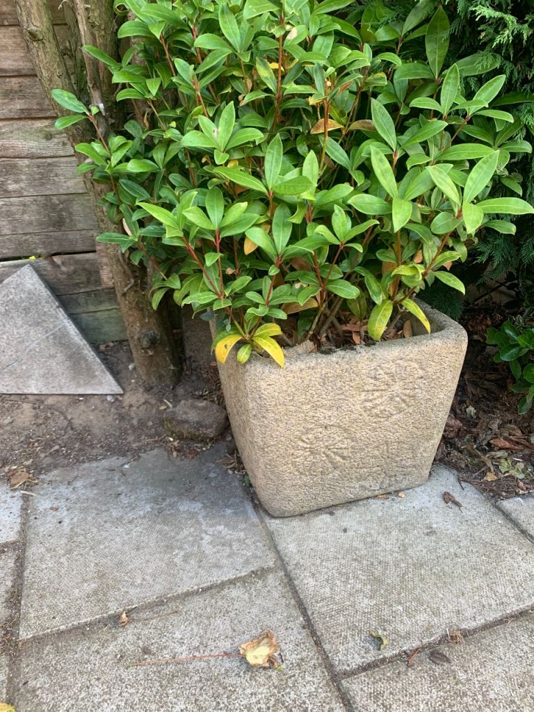 Stone Garden Planter with Plant – Good Condition