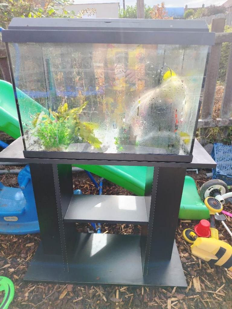80 litres tank for sale great con