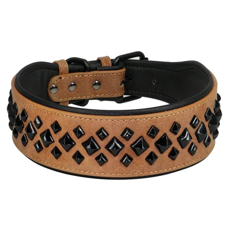 Dog collar