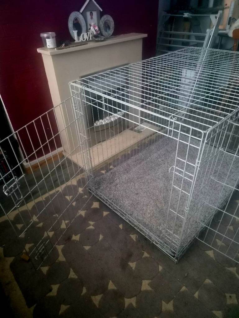 X Large Dog crate bundle