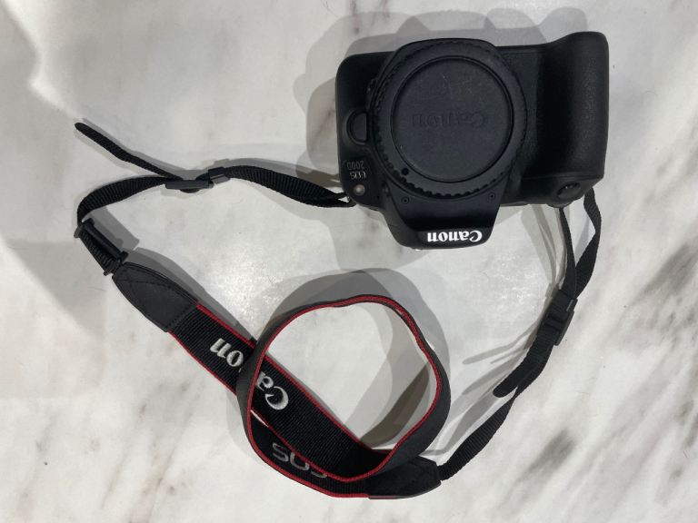 Canon EOS Digital Camera with Lenses and Bag