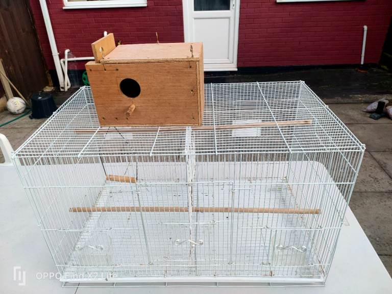 Bird cage 