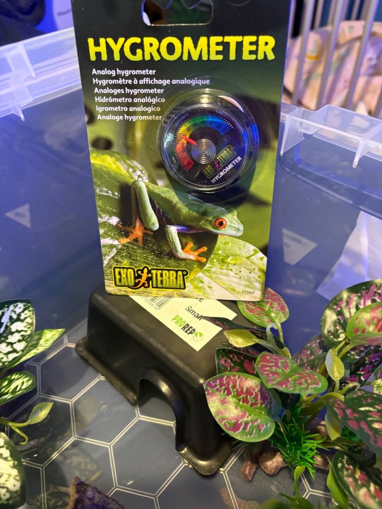 STILL AVAILABLE due to time wasters. 43L Full snake set up. Heat mat thermostat decor reptile etc 