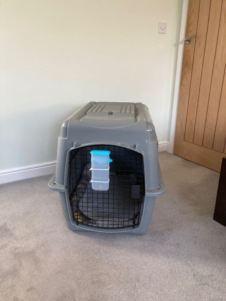 Dog travel kennel 