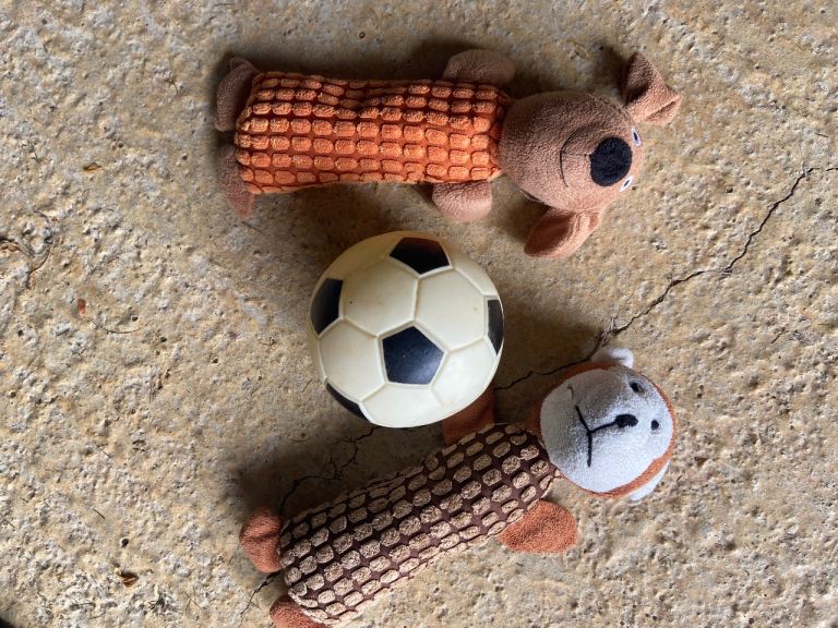 3 squeaky dog toys