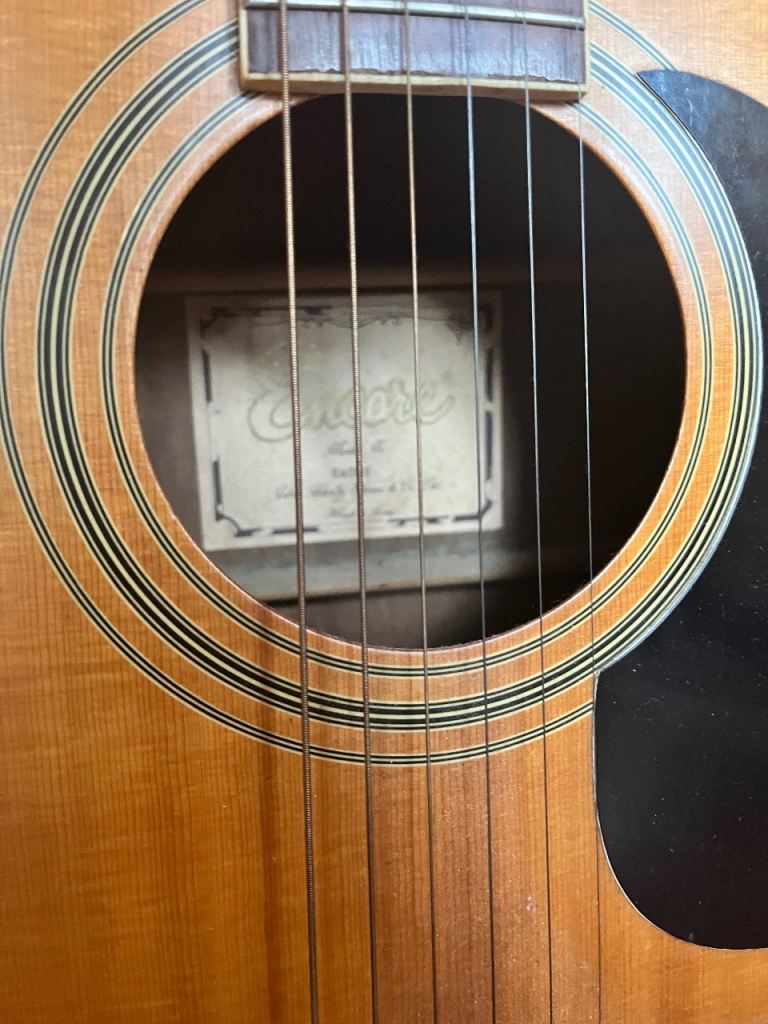 Acoustic Guitar 