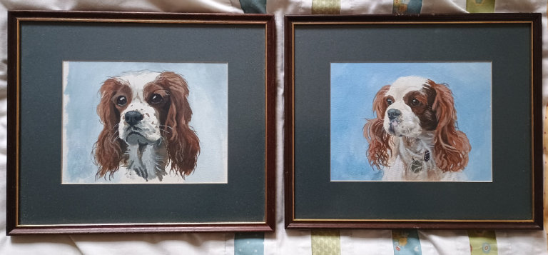 King Charles Cavalier watercolour paintings