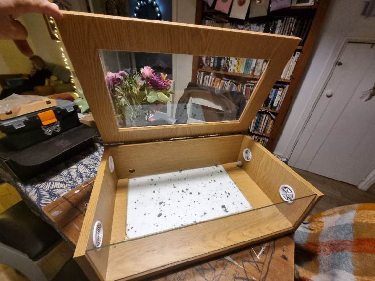 Wood and glass terrarium 