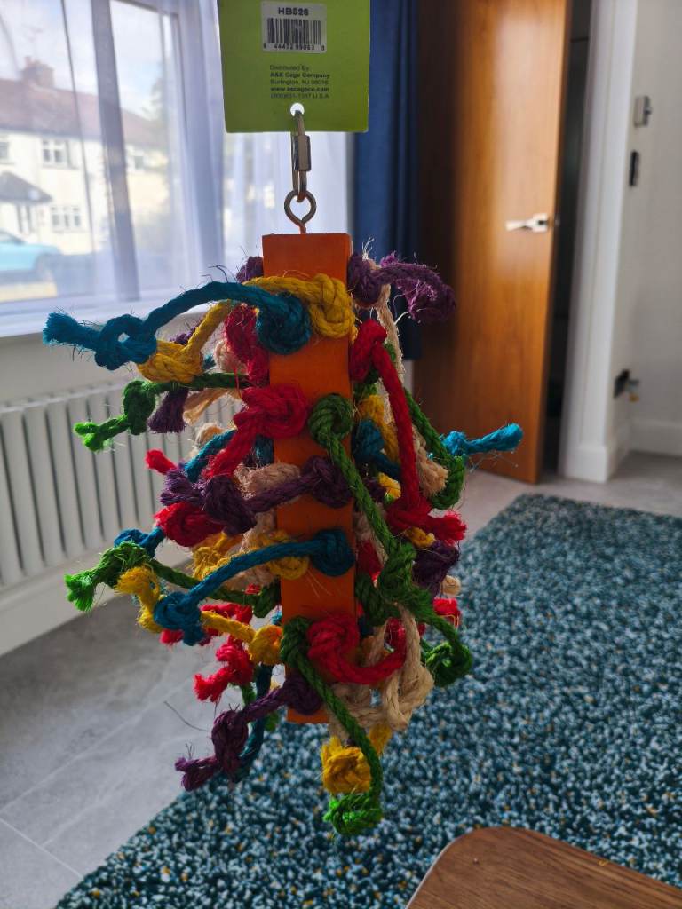 Large Bird Toy