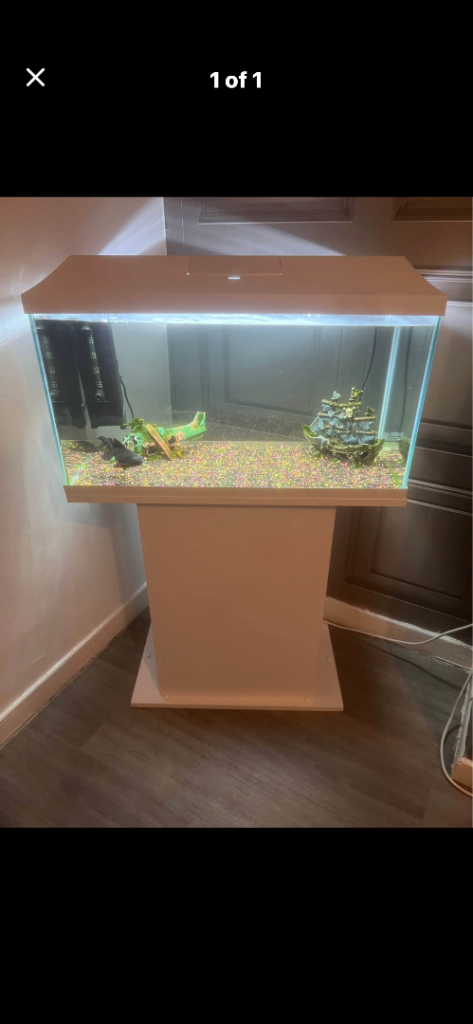 105 litre tank with stand and cold water fish 