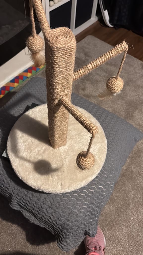 Cat scratcher 
