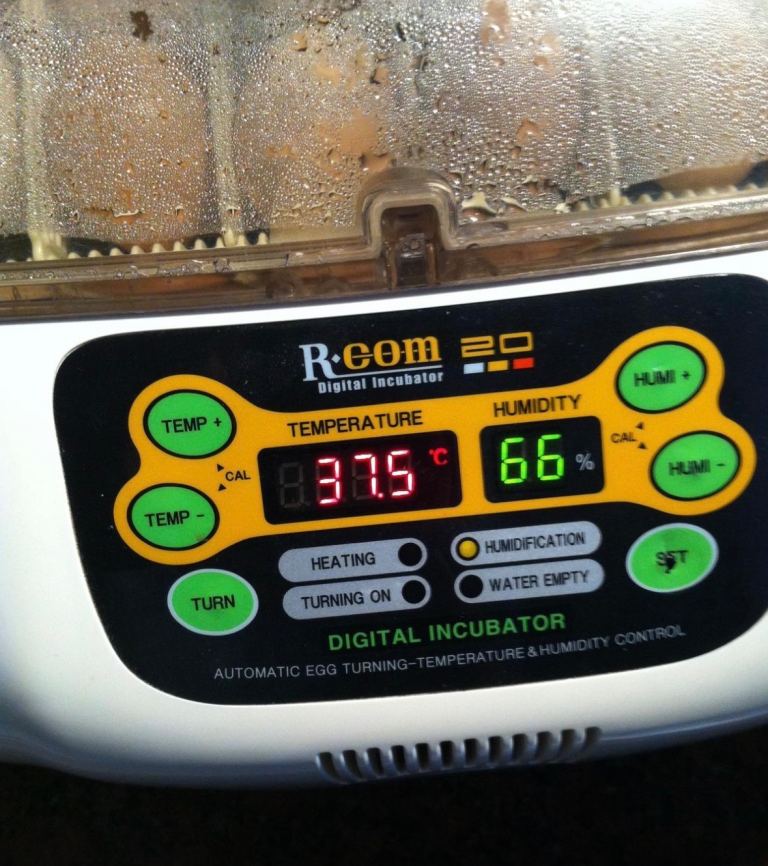 R-Com 20 Digital Incubator