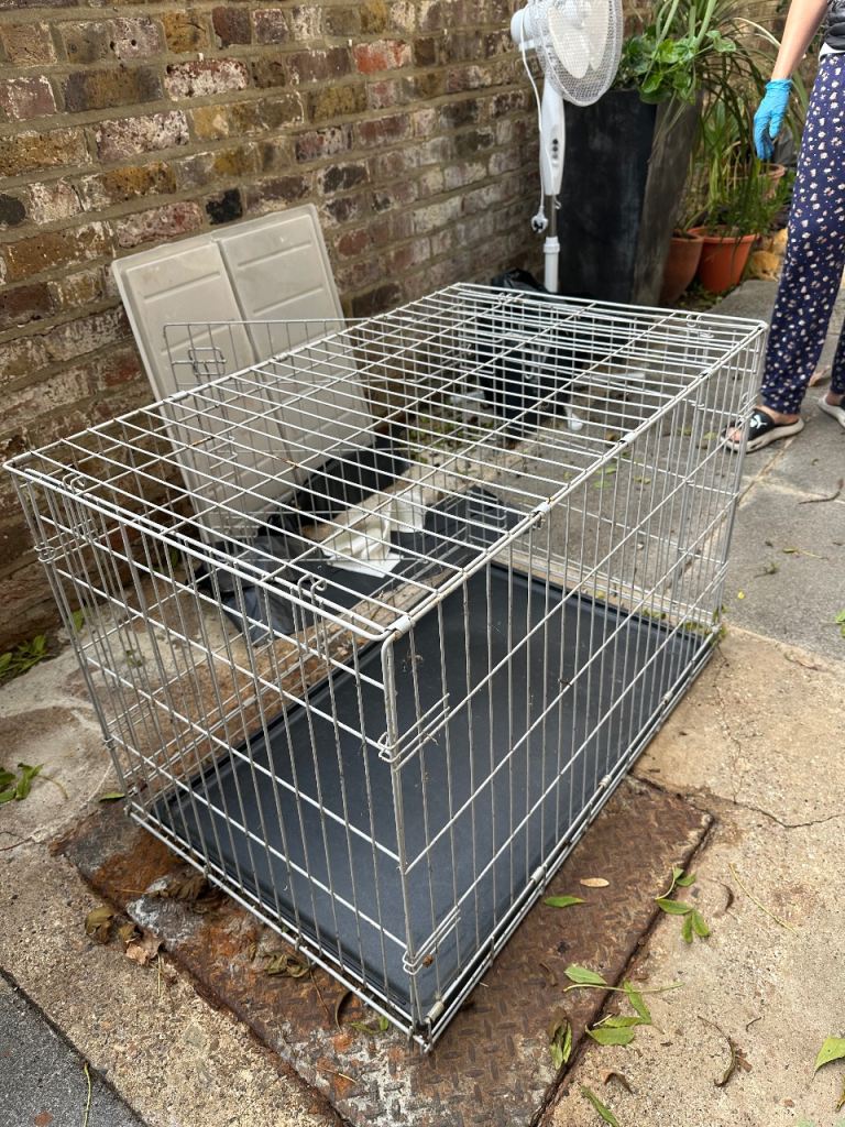 Pet Cage