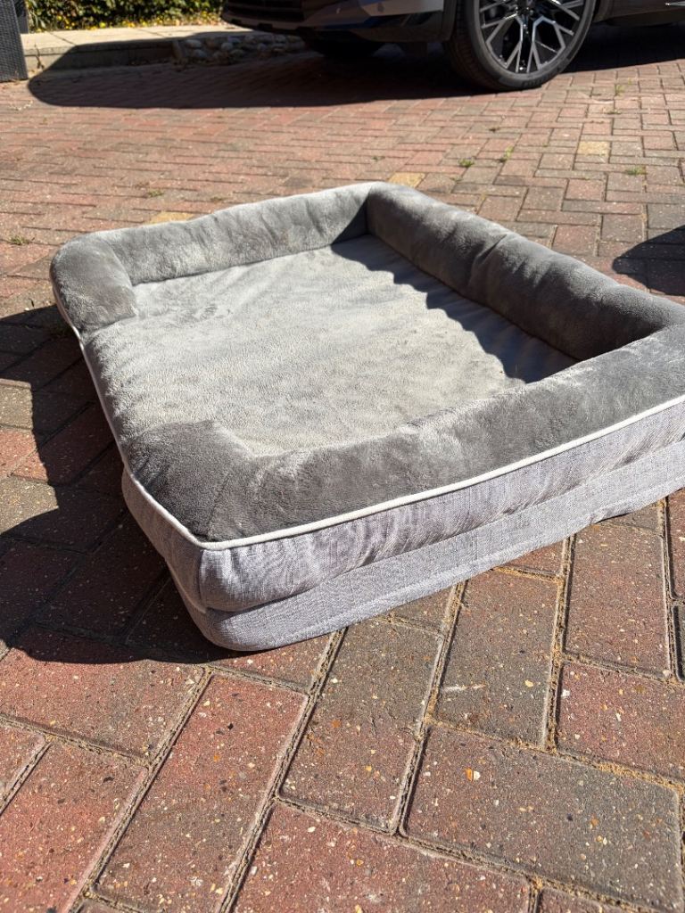 2 dog beds