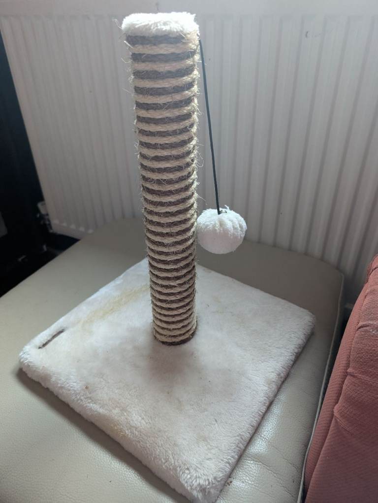 Kitten/cat scratch  post