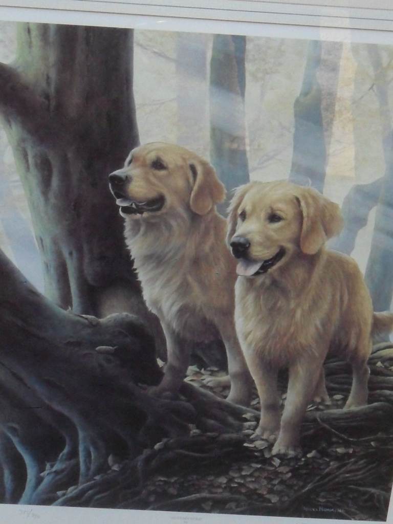 Nigel Hemming Autumn Gold-Golden Retriever Picture Limited Signed Print 375 /750 60cm x 72cm