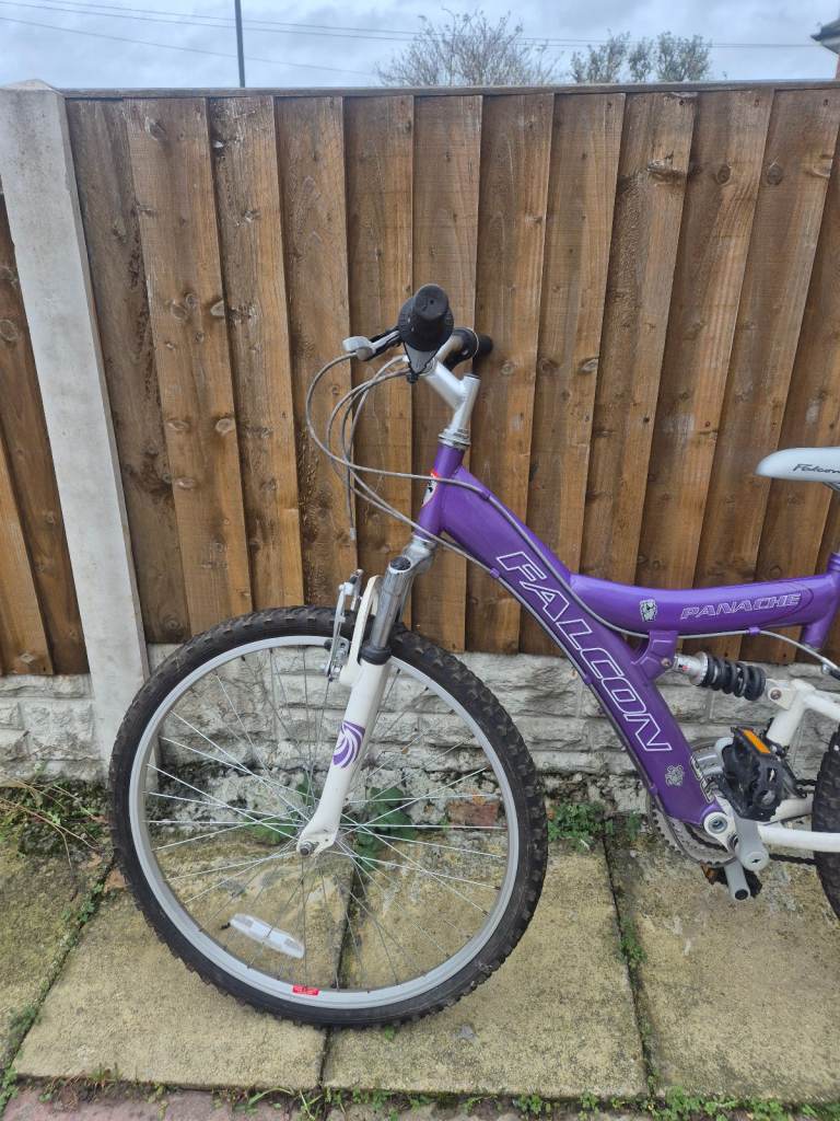 Falcon mountain bike 