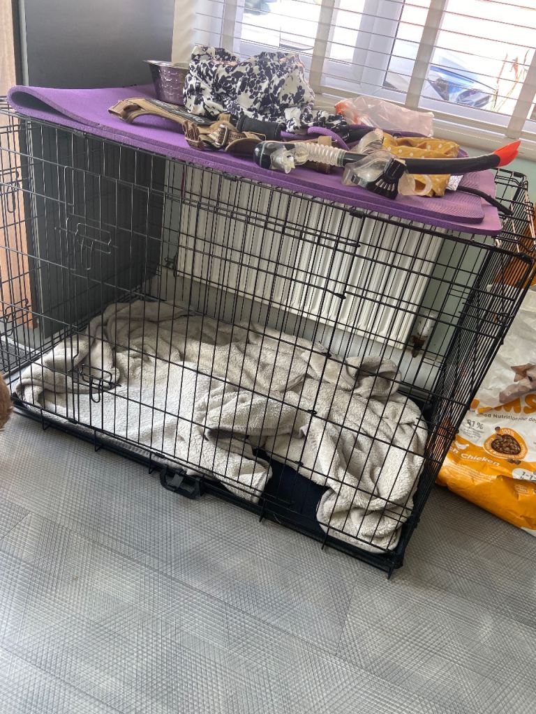 Pet cage