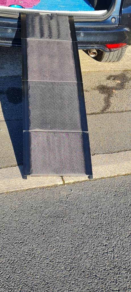Folding Dog Ramp