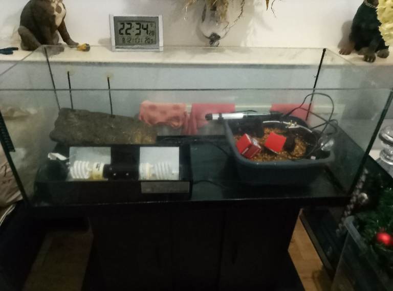 3ft aquarium/turtle tank 