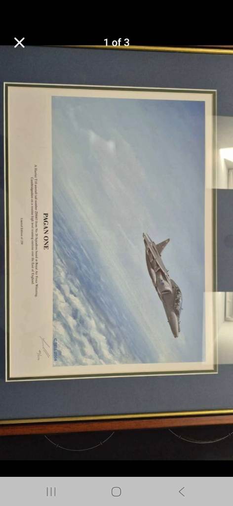 RAF Harrier, "Pagen 1" print