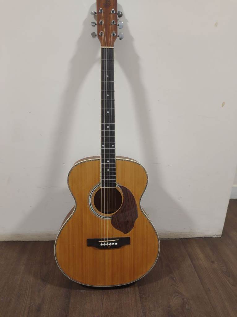 Wild boar acoustic guitar
