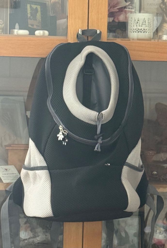 Pet carrier 