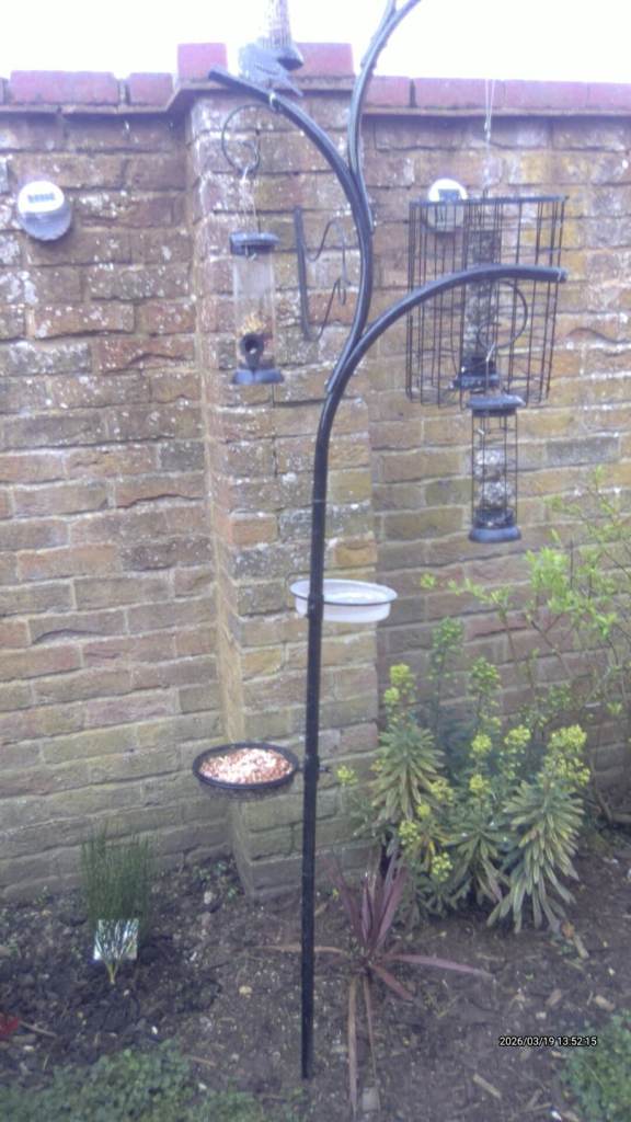  Bird feeding station 