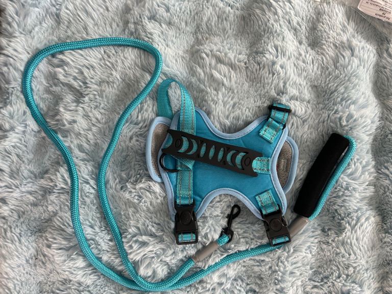 Brand new dog harness no pull XS
